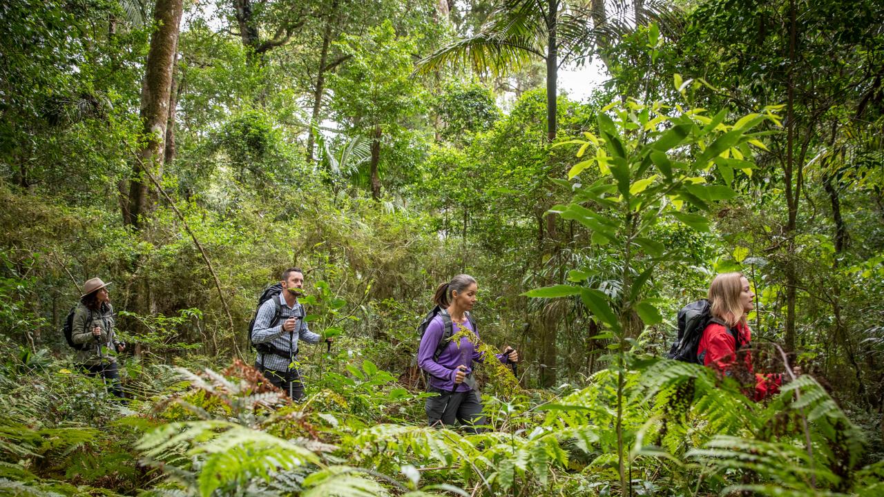 BIG SPEND: $10m will be invested into the Spicers Scenic Rim Trail, the only Australian Great Walk in Queensland.