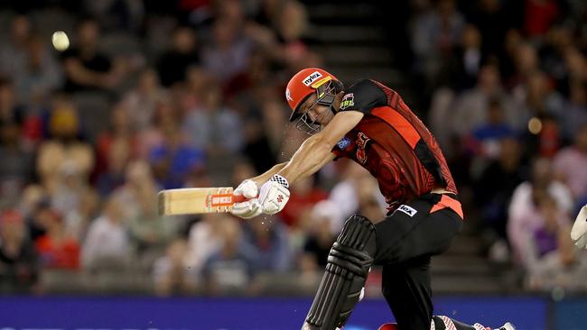 Webster has been a surprise packet for the Renegades in BBL09.