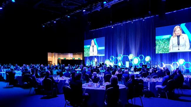 City Heart Taskforce chair Moncrieff MP Angie Bell speaks to about 120 business leaders at the Reimagine Gold Coast forum breakfast. Picture: Luke Mortimer