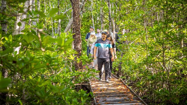 Dawul Wuru project manager Gavin Singleton leads Carbon Market Institute investor summit attendees along Cairns Airport mangrove boardwalk. Picture: Rob Parsons