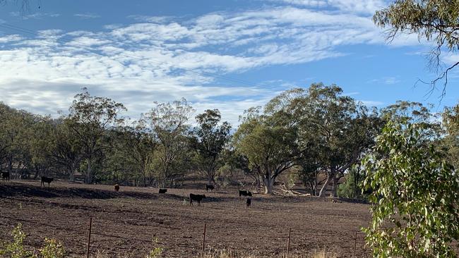 Eric Fernihough's property at Crawney, 40kms from Murrurundi