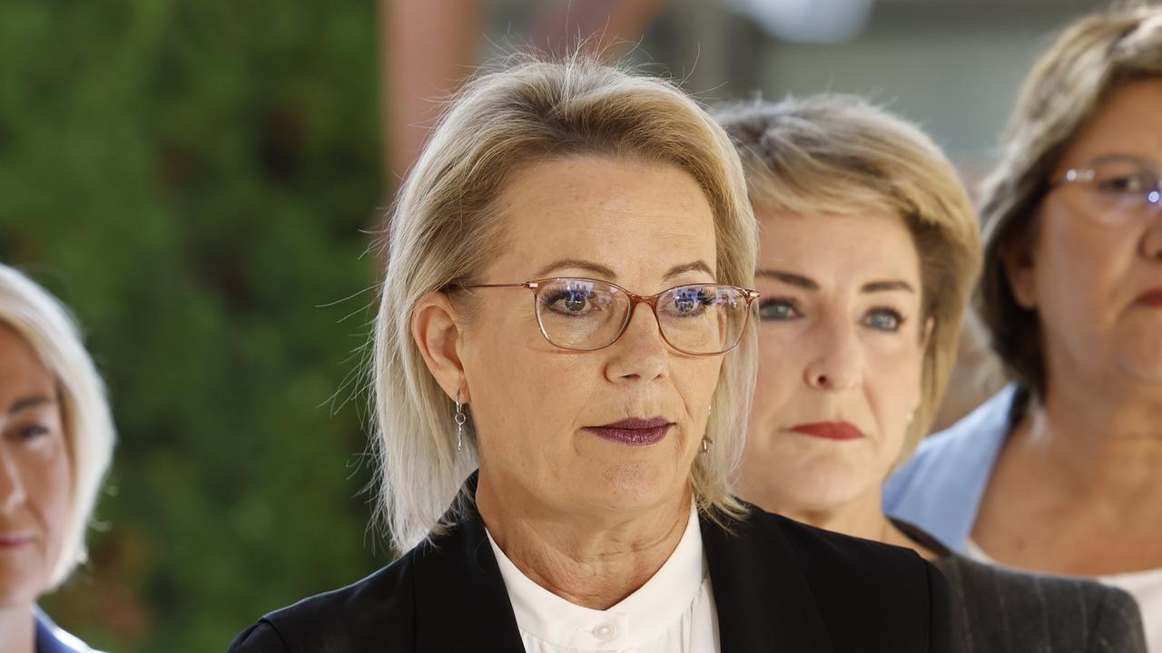 ‘We got it wrong’: MP’s bid for Lib leadership