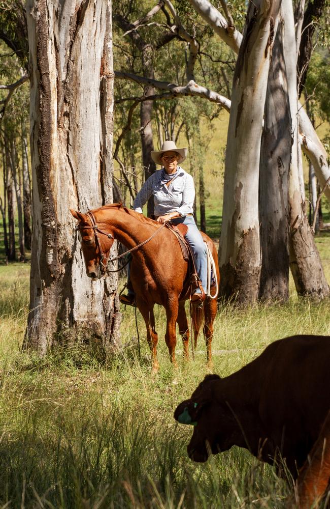 Recent rain provided ideal conditions at the Eidsvold Cattle Drive 2024.