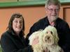 RSPCA offer Tas Labradoodles plea deal in over-breeding case