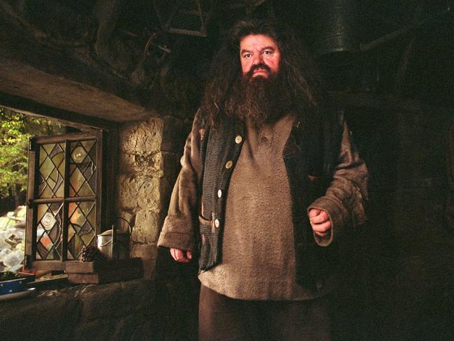 Hagrid Actor Robbie Coltrane Rushed To Hospital After Flight Au — Australias Leading 6225
