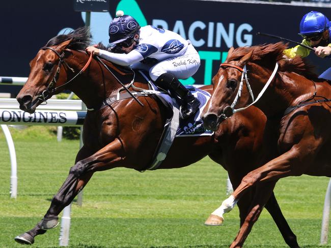 Malkovich will give a bold sight even with his big weight at Randwick. Picture: Grant Guy