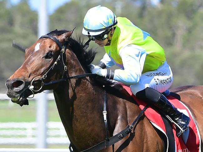 Totally Charmed winning at the Sunshine Coast. Picture: Trackside Photography