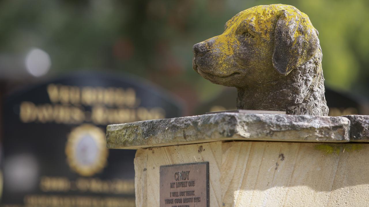 All creatures great and small are represented at the pet cemetery. Picture: Justin Lloyd.