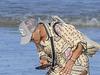 Pink’s unwanted Aussie beach encounter