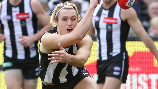 Darcy Moore is likely to stay a Pie. Pic: Michael Klein