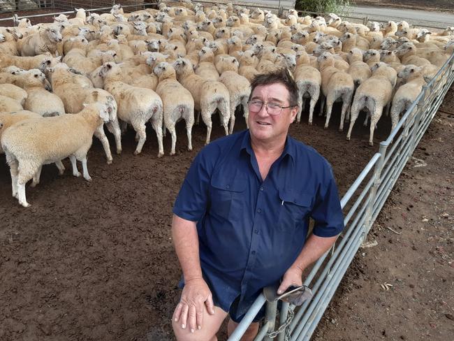 Andrew Donnan, Nedna at Willangie, sold nearly 800 SIL young first-cross ewes at Wycheproof at $280 to a top of $306 – about $20 to $30 per head shy of what he had hoped for. Wycheproof store sheep sale. Picture: Jenny Kelly