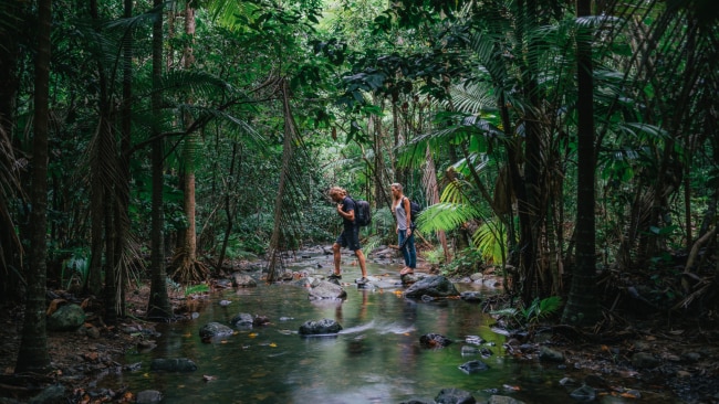 <span>10/26</span><h2>Walk under the canopy of the world's oldest rainforest</h2><p> In addition to the longest surviving culture, Australia can also lay claim to the oldest living tropical rainforest on Earth – the Daintree, estimated to be around 135 million years old (that’s tens of millions of years older than the Amazon). Picture: Tourism Tropical North Queensland