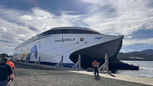 Hundreds gathered at the Incat shipyard in Hobart today to witness a defining moment in global shipbuilding, as Incat Hull 096 – the world’s largest battery-electric ship – was officially launched. Picture: Nikki Davis-Jones