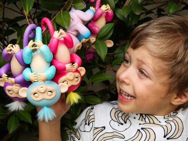 Arnold put some Fingerlings to the test ahead of this weekend’s toy fair. Picture: Nicole Cleary
