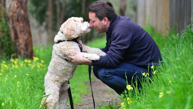 Victorian Liberal leader Matthew Guy needs to ‘muscle up’ if he’s to have even the slightest hope of ousting Dan Andrews. Picture: Nicki Connolly