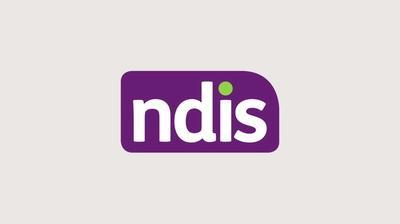 About the NDIS