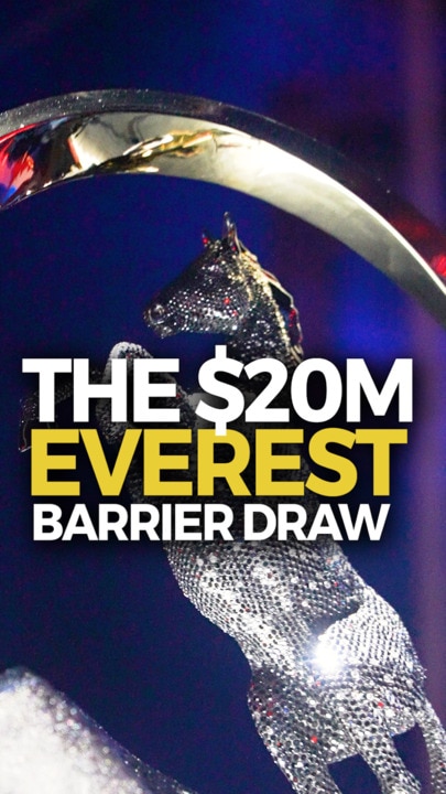 The Everest barrier draw: Weber Bros Circus