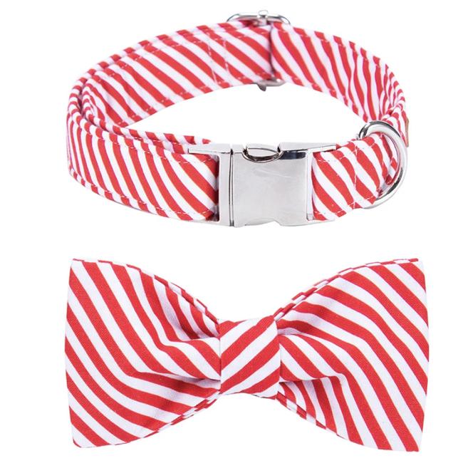 Red and white stripe Christmas collar with bowtie. Picture: Simon Carroll.