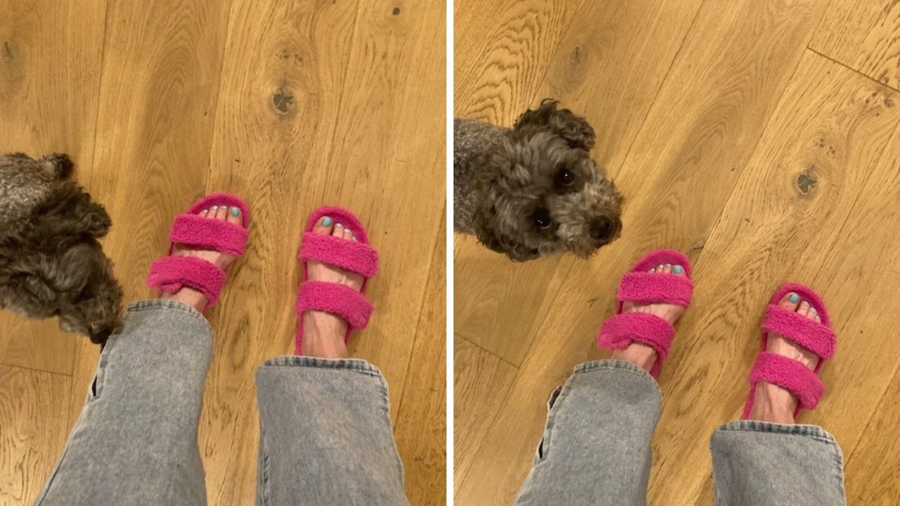 The Two Strap Sherpa Slides from The Oodie get the stamp of approval. Picture: Susannah Hardy