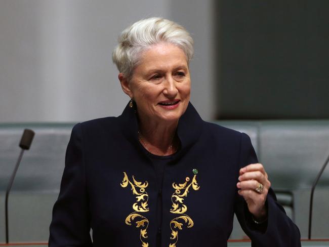 Kerryn Phelps Maiden Speech in the House of Representatives in Parliament House, Canberra. Picture Gary Ramage