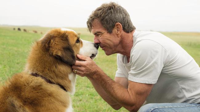 Dennis Quaid in a scene from A Dog’s Purpose. Picture: Supplied