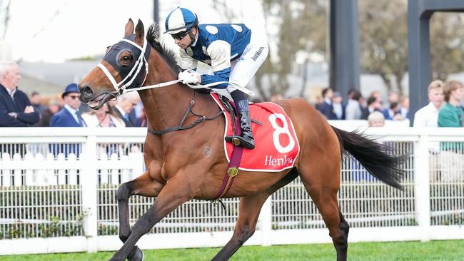 Buckaroo (GB) on the way to the barriers prior to the running of  the Henley Homes Underwood Stakes at Caulfield Racecourse on September 21, 2024 in Caulfield, Australia. (Photo by Scott Barbour/Racing Photos via Getty Images)