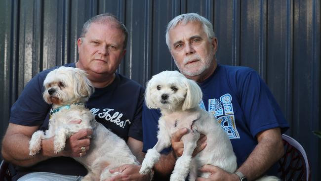 Scott Anderson and Russell Howlett with their dogs Buster and Missy. Picture: Annette Dew