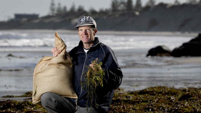 revious research has found SA has more than one million hectares of seagrass, close to 20,000ha of tidal saltmarsh and 16,420ha of mangroves. That adds up to 1.12 million hectares of blue-carbon ecosystems. Picture: Naomi Jellicoe