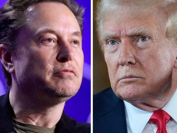 Elon Musk and Donald Trump.