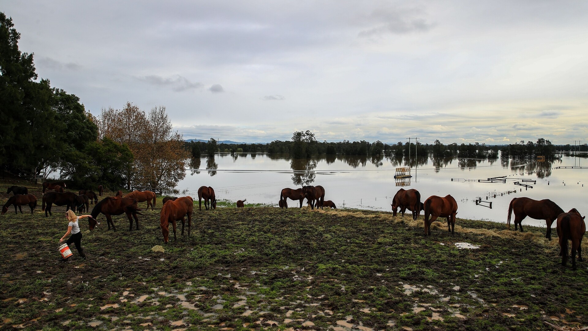 Government hardship assistance payments now available for affected farmers