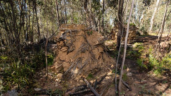 The remains were found just off Providence Track off McMillans Road, 7km from Dargo High Plains Road. Picture: Jason Edwards