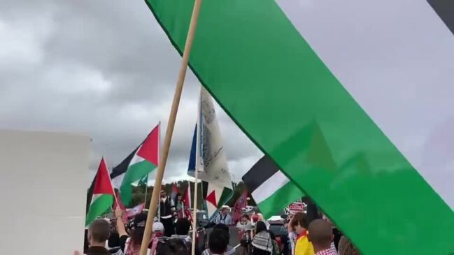 Pro-Palestinian Crowd Gathers at Sydney Port to Protest Israeli-Owned Container Ship