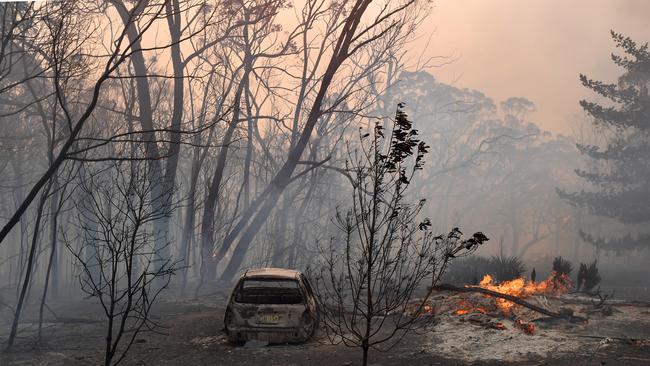 The Greater Sydney, Illawarra, Shoalhaven and southern ranges regions are all facing catastrophic fire danger today