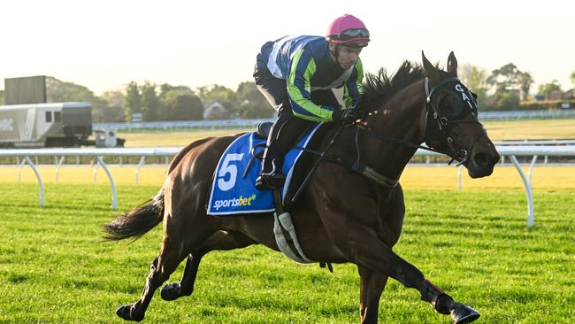 Tim Clark riding Eliyass ina track gallop at Caulfield this week. Picture: Vince Caligiuri/Getty Images