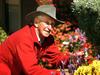 Gallery: 50+ photos to get you in the garden competition spirit