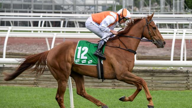 Damien Oliver rides Vow And Declare at Flemington Racecourse last month. Picture: Reg Ryan/Racing Photos via Getty Images