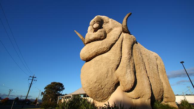 Mr Lanyon was found collapsed ‘behind the Big Merino’ in Goulburn. Picture: Getty Images