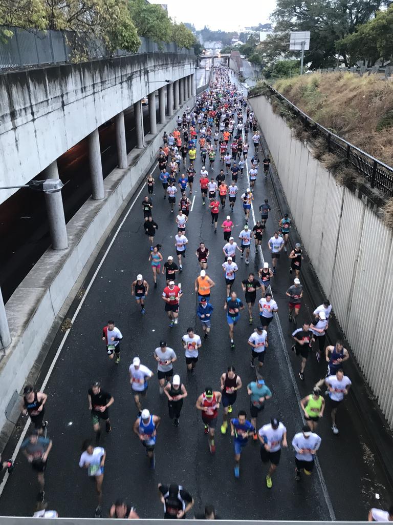 <p>Runners make their way down Hale St in the Bridge to Brisbane. Picture: Annette Dew</p>