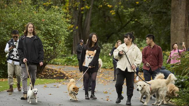Million Paws Walk in the Adelaide Botanic Gardens, Sunday, May 28, 2023. Picture: Matt Loxton