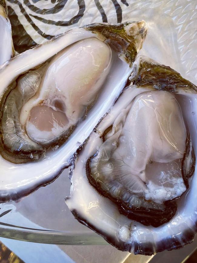 Coffin Bay’s Gazander Oysters. Picture: Supplied