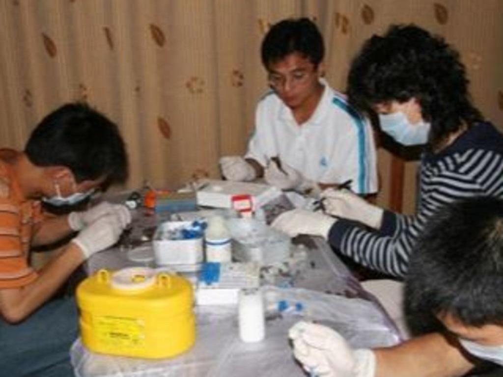 Wuhan scientists allegedly lied about taking safety precautions when taking bat samples. Picture: Supplied