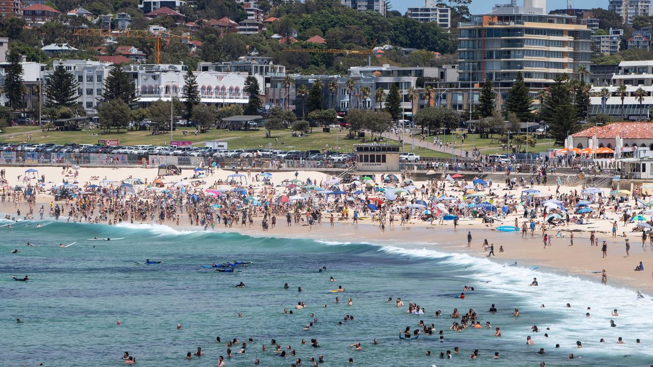 NSW shark sightings: 50 NSW beaches to use drone technology for shark ...