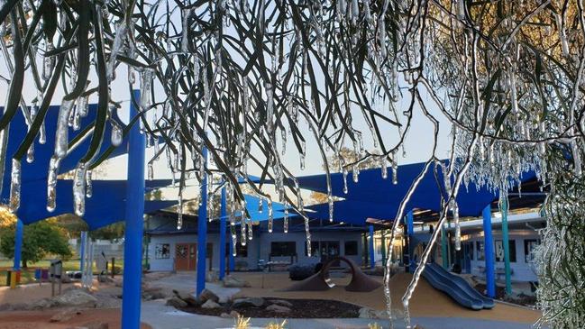 Ross Park Primary School was also targeted by vandals. Picture: Ross Park Primary School