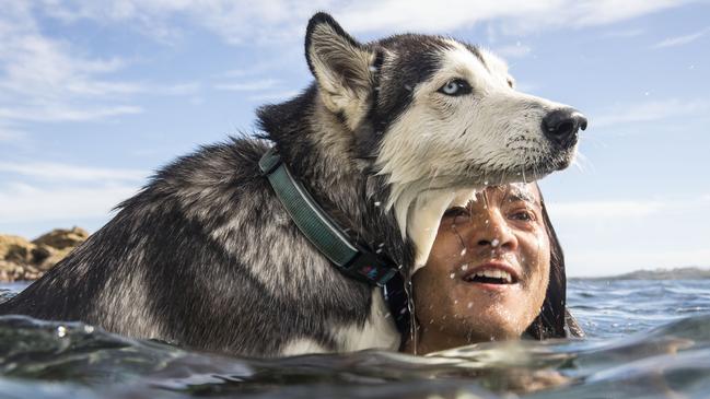 Mark Rushton and his Husky dog Saskia cool off at the northern end of Bondi Beach. Picture: Jessica Hromas