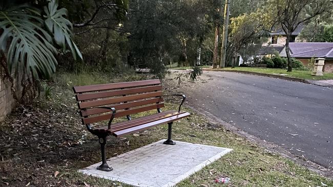 The bench has sparked mixed opinions among residents.