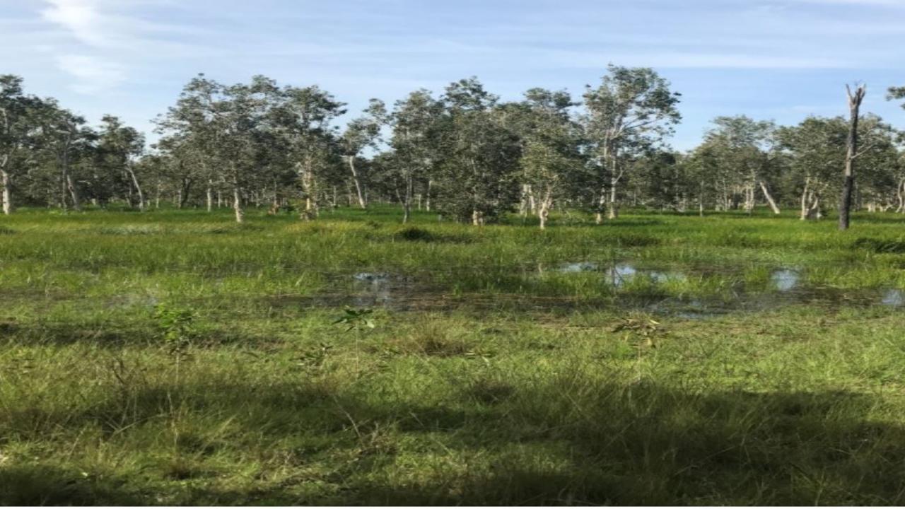 The site of the proposed Central Queensland Coal Project near St Lawrence. Picture: CQ Coal