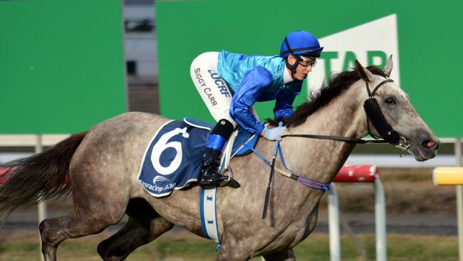 Glass Warrior (Siggy Carr) easily wins the $100,000 Launceston Guineas.