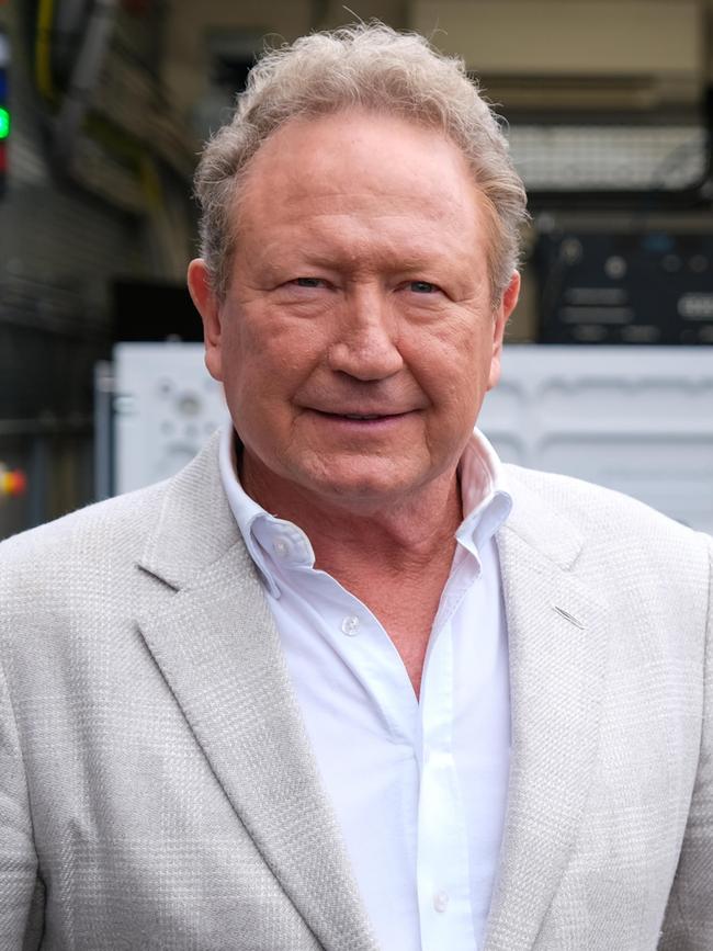 Fortescue executive chair Andrew Forrest opted to forgo director’s fees, but he owns 1.13 billion shares worth $25.82bn – making him the wealthiest chair. Picture: Jacquelin Magnay