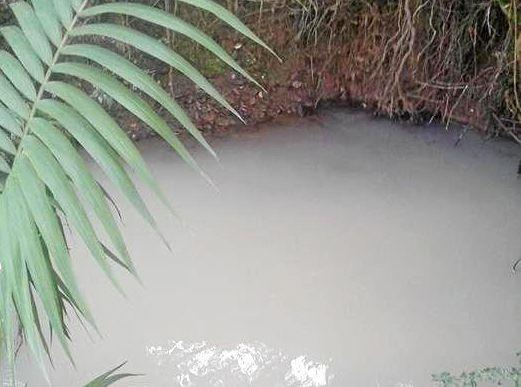 Alleged creek dumping by Nimbin Pool contractors has led to community concern surrounding the water quality of Nimbin's creeks. Picture: Rachel Scott