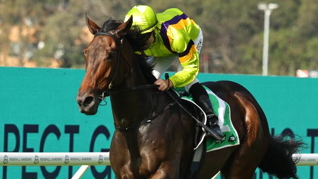 Boys Night Out produced a commanding performance to win the Highway at Rosehill on Saturday. Picture: Getty Images
